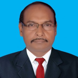 Sholla School College Teacher