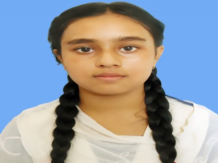 Sholla School College Teacher