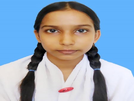 Sholla School College Teacher