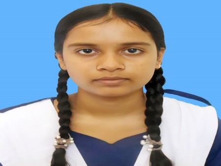 Sholla School College Teacher