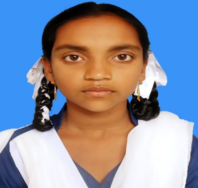 Sholla School & College