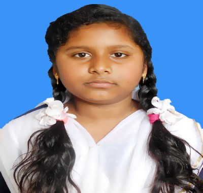 Sholla School & College