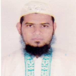 Sholla School College Teacher