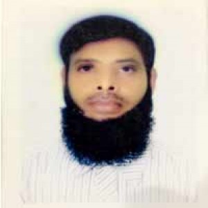 Sholla School College Teacher